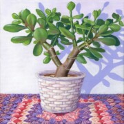 Crassula and Crochet, acrylic on canvas, 20 by 20cm £95