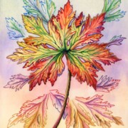 Autumn Leaf , watercolour and mixed media on paper, 21 by 26cm £22 clearance