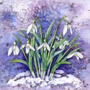 Snowdrops, watercolour on paper, 17.4 by 17.4cm £18 clearance