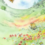 Wild meadow panel, watercolour on paper, 11.5 by 25.5cm, £15 clearance