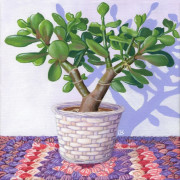 Crassula and Crochet, acrylic on canvas, 20 by 20cm £95