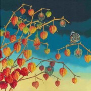 Physalis, acrylic on canvas, 40 by 40cm £220