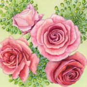 Roses and Alliums, mixed media on paper, 31.5 by 31.5cm £150