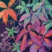 Virginia Creeper, acrylic on canvas, 20 by 20cm, £95