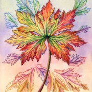Autumn Leaf , watercolour and mixed media on paper, 21 by 26cm £22 clearance