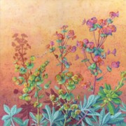Euphorbia Spurge, acrylic on canvas, 40 by 40cm £195