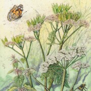 Summer Hedgerow, watercolour and mixed media on paper, 26 by 29cm, SOLD