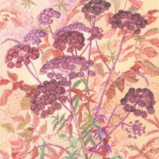 Hogweed surface pattern, acrylic on canvas, 50 by 60cm £270