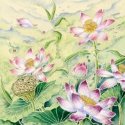 Lotus Flower, watercolour on tinted paper, 25 by 30.5cm £195