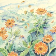 Marine Marigolds ,watercolour on tinted paper, 25 by 30.5cm £195