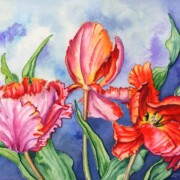 Parrot Tulips 2, mixed media on paper, 19.6 by 25.8cm £95