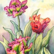 Parrot Tulips, watercolour and mixed media on paper, 34 by 48cm £290