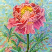 Peony millefiori ,acrylic on canvas, 50 by 60cm £320