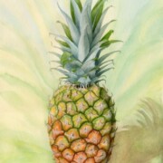 Pineapple, Costa Rican, watercolour on paper, 27 by 36.5cm SOLD