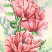 Oriental Poppy panel, watercolour on paper, 11.5 by 25cm £40
