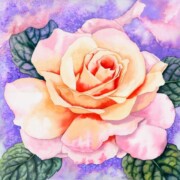Rose Blush ,watercolour on paper, 38.4 by 37.6cm Not for sale