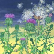 Scottish Thistle, acrylic on canvas, 40 by 40cm £220