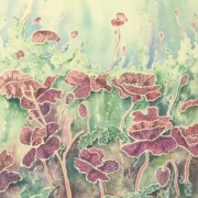 Sea Poppies, watercolour on tinted cream paper, 25 by 30.5cm £195