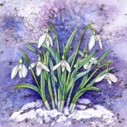 Snowdrops, watercolour on paper, 17.4 by 17.4cm SOLD