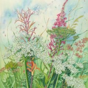 Summer Seed Heads 1 of 3 series, watercolour and mixed media on paper, 31 by 41.5cm, £220