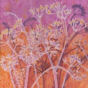 Sweet Cicely, acrylic on canvas, 40 by 40cm £220