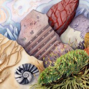 Living rocks, watercolour on paper, 39 57cm £120