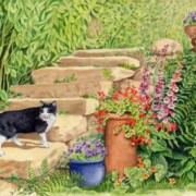 Blackie's Patch, watercolour on paper, 28 by 19.5cm £120