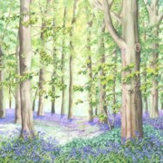 Bluebell Wood , watercolour on paper, 25.4 by 30.5cm £220