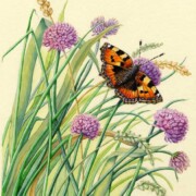 Tortoiseshell and Chives, acrylic on tinted paper, SOLD