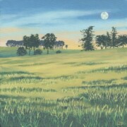 Wheat Field, acrylic on canvas, 20 by 20cm £90