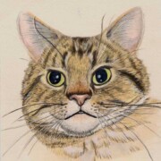 Felix ,watercolour on paper, 16.5 by 16.5cm £14 clearance