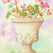 Garden Urn with Pelargonium geraniums, watercolour on paper, 13.5 by 18.5 cm SOLD