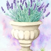 Garden urn with Lavender, watercolour on paper, 13.5 by 18.5 cm SOLD