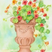 Garden Urn with Nasturtiums, watercolour on paper, 13.5 by 18.5 cm SOLD