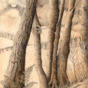 Night Woodland ,pencil and sepia wash on paper, 24 by 32.5cm SOLD