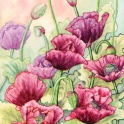 Opium Poppies , watercolour and mixed media on paper, 31 by 40cm £260