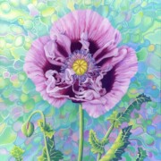 Poppy Millefiori, acrylic on canvas, 50 by 60cm £320