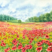 Poppy Field ,watercolour on paper, 18 by 23cm £90