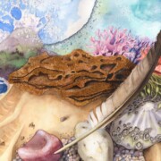 Sea and Shore, mixed media and watercolour on paper, 57 by 39cm £120