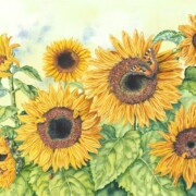 Sunflowers 2, watercolour and mixed media in paper, 51.2 by 37.7cm SOLD