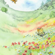 Wild meadow panel, watercolour on paper, 11.5 by 25.5cm, £15 clearance