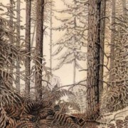 Sepia Forest , pencil, ink and wash on paper, 23.3 by 33cm £220