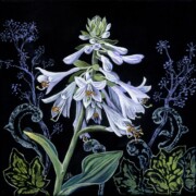 White Hosta, acrylic on canvas, 20 by 20cm, £90