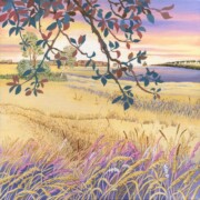 Harvest Time, acrylic on canvas, 30 by 30cm, £180