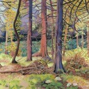 Wellingtonia Woodland, acrylic on canvas, 30 by 40cm £195